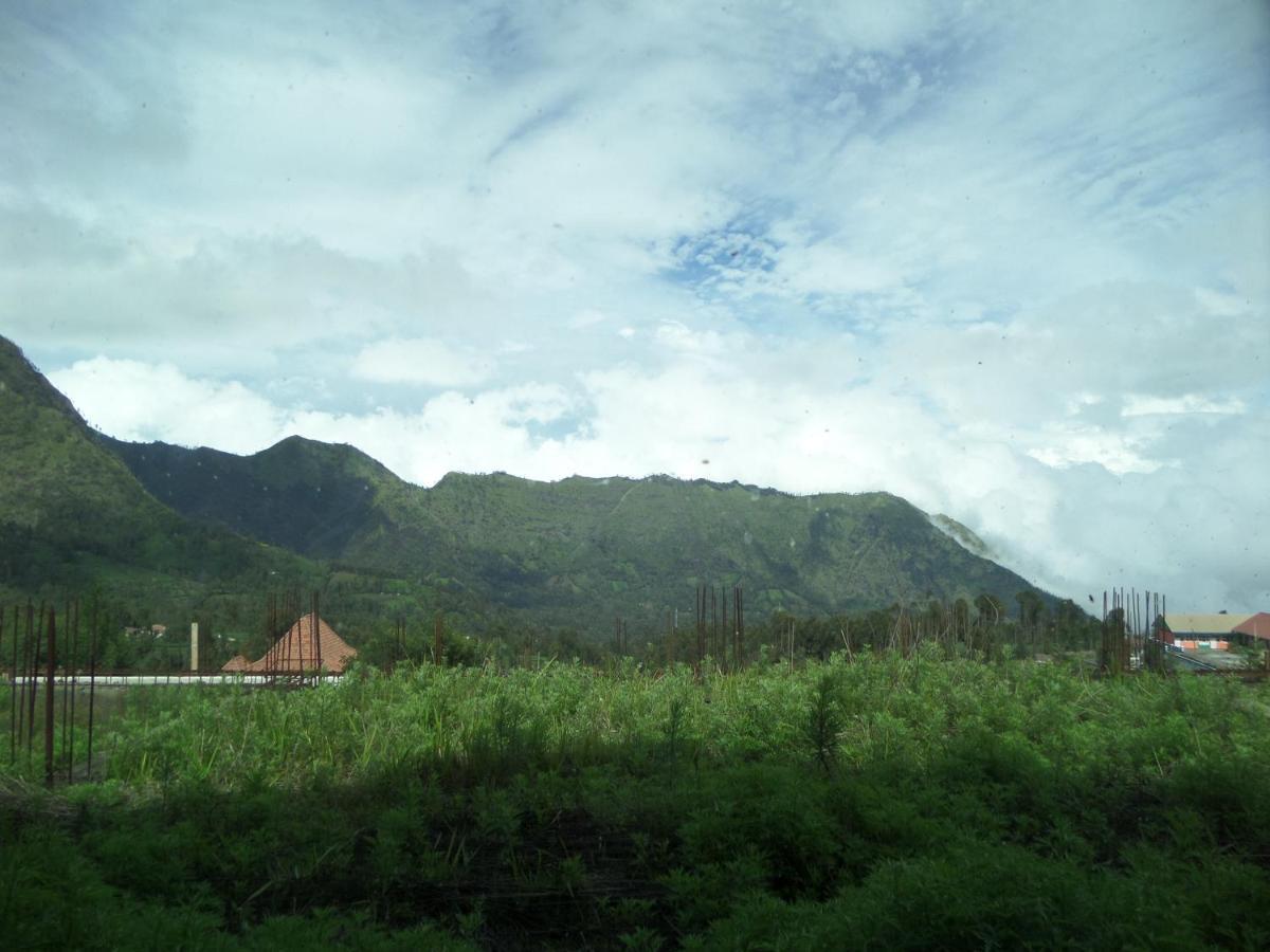 Hotel Bromo Permai 1 Exterior foto